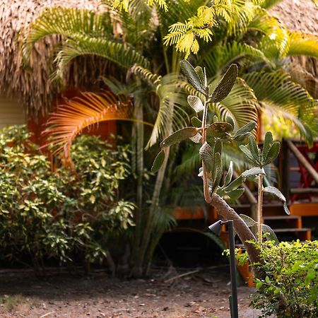 Mondi Lodge Sint Michiel Exterior photo