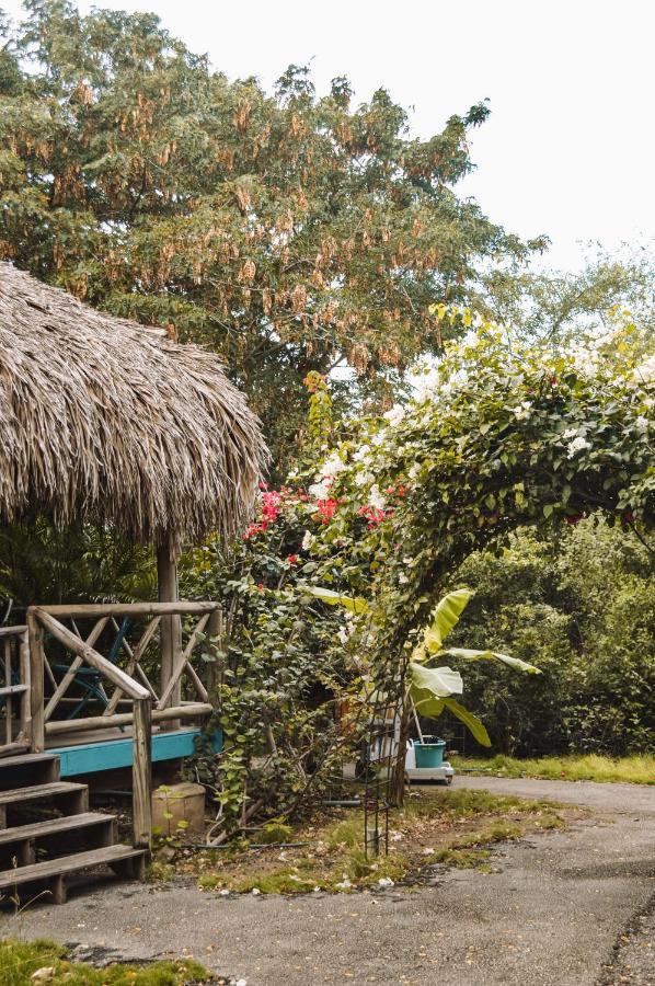Mondi Lodge Sint Michiel Exterior photo