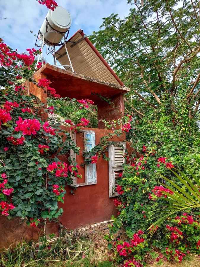 Mondi Lodge Sint Michiel Exterior photo