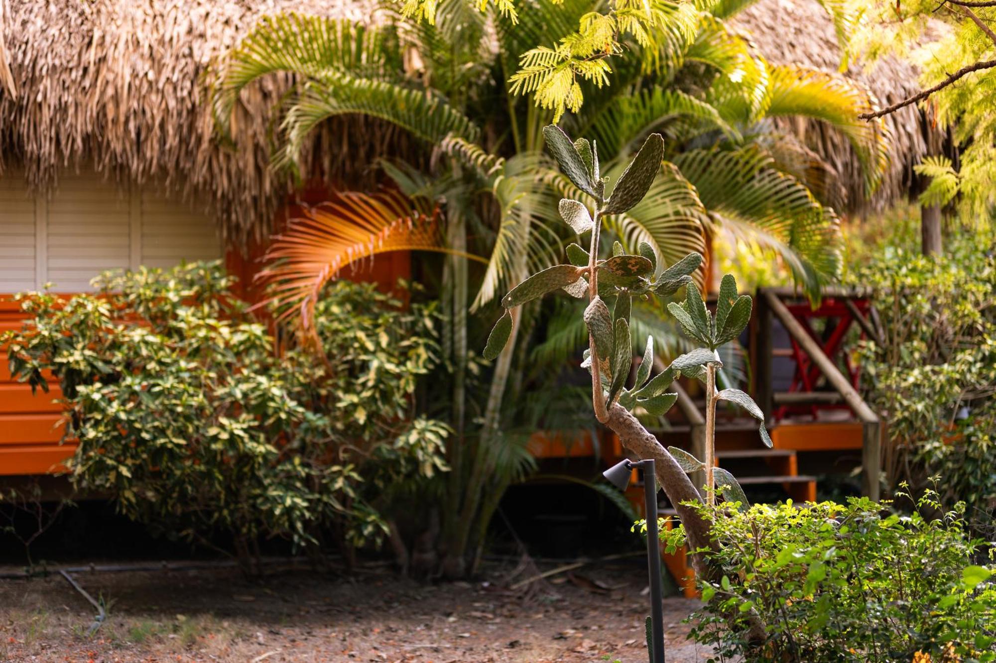 Mondi Lodge Sint Michiel Exterior photo